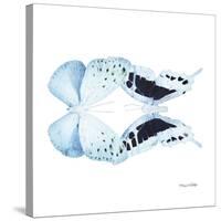 Miss Butterfly Duo Euploanthus Sq - X-Ray White Edition-Philippe Hugonnard-Stretched Canvas