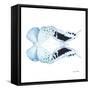 Miss Butterfly Duo Euploanthus Sq - X-Ray White Edition-Philippe Hugonnard-Framed Stretched Canvas