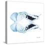 Miss Butterfly Duo Euploanthus Sq - X-Ray White Edition-Philippe Hugonnard-Stretched Canvas