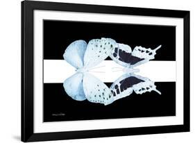 Miss Butterfly Duo Euploanthus - X-Ray B&W Edition II-Philippe Hugonnard-Framed Photographic Print