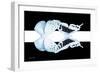 Miss Butterfly Duo Euploanthus - X-Ray B&W Edition II-Philippe Hugonnard-Framed Photographic Print