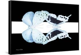 Miss Butterfly Duo Euploanthus - X-Ray B&W Edition II-Philippe Hugonnard-Framed Stretched Canvas