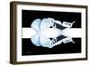 Miss Butterfly Duo Euploanthus - X-Ray B&W Edition II-Philippe Hugonnard-Framed Photographic Print