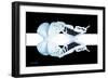 Miss Butterfly Duo Euploanthus - X-Ray B&W Edition II-Philippe Hugonnard-Framed Photographic Print