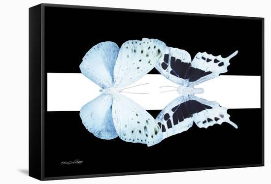 Miss Butterfly Duo Euploanthus - X-Ray B&W Edition II-Philippe Hugonnard-Framed Stretched Canvas