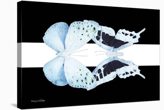 Miss Butterfly Duo Euploanthus - X-Ray B&W Edition II-Philippe Hugonnard-Stretched Canvas