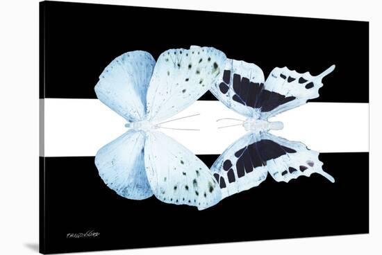 Miss Butterfly Duo Euploanthus - X-Ray B&W Edition II-Philippe Hugonnard-Stretched Canvas