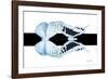 Miss Butterfly Duo Euploanthus - X-Ray B&W Edition-Philippe Hugonnard-Framed Photographic Print