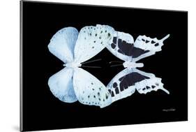 Miss Butterfly Duo Euploanthus - X-Ray Black Edition-Philippe Hugonnard-Mounted Photographic Print