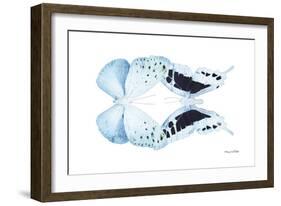 Miss Butterfly Duo Euploanthus - X-Ray White Edition-Philippe Hugonnard-Framed Photographic Print
