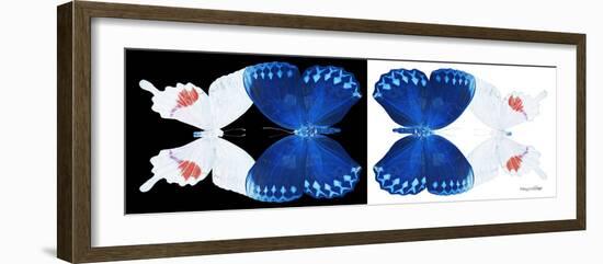 Miss Butterfly Duo Formohermos Pan - X-Ray B&W Edition-Philippe Hugonnard-Framed Photographic Print