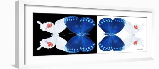 Miss Butterfly Duo Formohermos Pan - X-Ray B&W Edition-Philippe Hugonnard-Framed Photographic Print