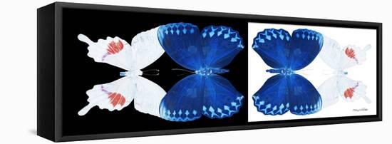 Miss Butterfly Duo Formohermos Pan - X-Ray B&W Edition-Philippe Hugonnard-Framed Stretched Canvas