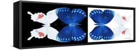 Miss Butterfly Duo Formohermos Pan - X-Ray B&W Edition-Philippe Hugonnard-Framed Stretched Canvas