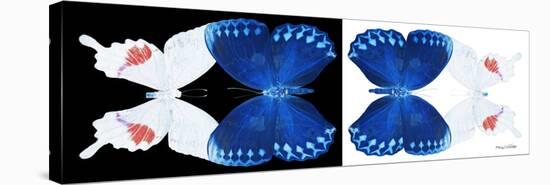 Miss Butterfly Duo Formohermos Pan - X-Ray B&W Edition-Philippe Hugonnard-Stretched Canvas