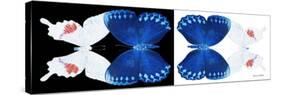 Miss Butterfly Duo Formohermos Pan - X-Ray B&W Edition-Philippe Hugonnard-Stretched Canvas