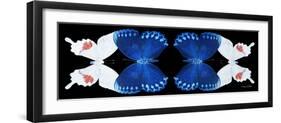 Miss Butterfly Duo Formohermos Pan - X-Ray Black Edition II-Philippe Hugonnard-Framed Photographic Print