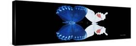Miss Butterfly Duo Formohermos Pan - X-Ray Black Edition-Philippe Hugonnard-Stretched Canvas