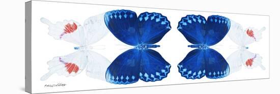 Miss Butterfly Duo Formohermos Pan - X-Ray White Edition II-Philippe Hugonnard-Stretched Canvas