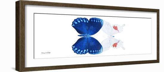Miss Butterfly Duo Formohermos Pan - X-Ray White Edition-Philippe Hugonnard-Framed Photographic Print