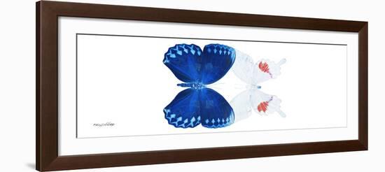 Miss Butterfly Duo Formohermos Pan - X-Ray White Edition-Philippe Hugonnard-Framed Photographic Print