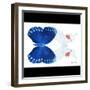 Miss Butterfly Duo Formohermos Sq - X-Ray B&W Edition-Philippe Hugonnard-Framed Photographic Print