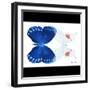 Miss Butterfly Duo Formohermos Sq - X-Ray B&W Edition-Philippe Hugonnard-Framed Photographic Print