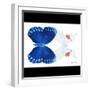 Miss Butterfly Duo Formohermos Sq - X-Ray B&W Edition-Philippe Hugonnard-Framed Photographic Print