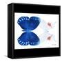 Miss Butterfly Duo Formohermos Sq - X-Ray B&W Edition-Philippe Hugonnard-Framed Stretched Canvas