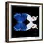 Miss Butterfly Duo Formohermos Sq - X-Ray Black Edition-Philippe Hugonnard-Framed Photographic Print