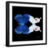 Miss Butterfly Duo Formohermos Sq - X-Ray Black Edition-Philippe Hugonnard-Framed Photographic Print