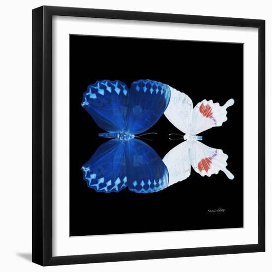 Miss Butterfly Duo Formohermos Sq - X-Ray Black Edition-Philippe Hugonnard-Framed Photographic Print