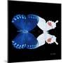 Miss Butterfly Duo Formohermos Sq - X-Ray Black Edition-Philippe Hugonnard-Mounted Photographic Print