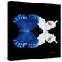 Miss Butterfly Duo Formohermos Sq - X-Ray Black Edition-Philippe Hugonnard-Stretched Canvas