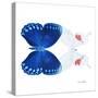 Miss Butterfly Duo Formohermos Sq - X-Ray White Edition-Philippe Hugonnard-Stretched Canvas