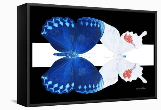 Miss Butterfly Duo Formohermos - X-Ray B&W Edition II-Philippe Hugonnard-Framed Stretched Canvas