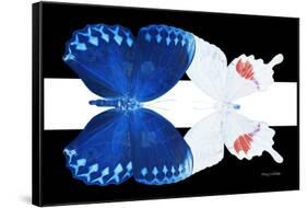 Miss Butterfly Duo Formohermos - X-Ray B&W Edition II-Philippe Hugonnard-Framed Stretched Canvas