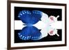 Miss Butterfly Duo Formohermos - X-Ray B&W Edition II-Philippe Hugonnard-Framed Photographic Print