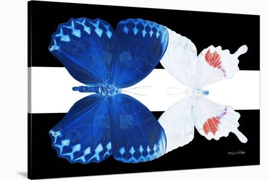 Miss Butterfly Duo Formohermos - X-Ray B&W Edition II-Philippe Hugonnard-Stretched Canvas