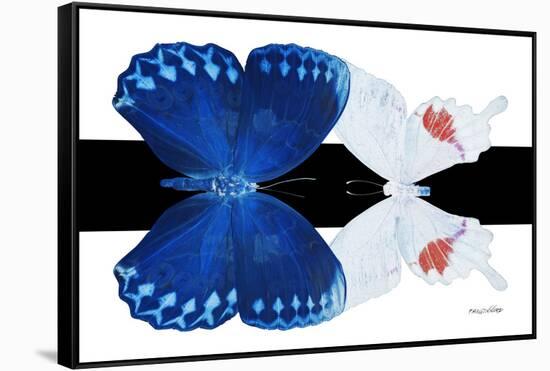 Miss Butterfly Duo Formohermos - X-Ray B&W Edition-Philippe Hugonnard-Framed Stretched Canvas