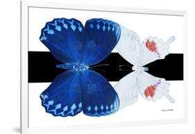 Miss Butterfly Duo Formohermos - X-Ray B&W Edition-Philippe Hugonnard-Framed Photographic Print