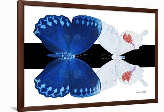 Miss Butterfly Duo Formohermos - X-Ray B&W Edition-Philippe Hugonnard-Framed Photographic Print