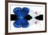 Miss Butterfly Duo Formohermos - X-Ray B&W Edition-Philippe Hugonnard-Framed Photographic Print