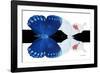 Miss Butterfly Duo Formohermos - X-Ray B&W Edition-Philippe Hugonnard-Framed Photographic Print