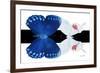 Miss Butterfly Duo Formohermos - X-Ray B&W Edition-Philippe Hugonnard-Framed Photographic Print