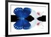 Miss Butterfly Duo Formohermos - X-Ray B&W Edition-Philippe Hugonnard-Framed Photographic Print