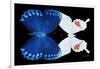 Miss Butterfly Duo Formohermos - X-Ray Black Edition-Philippe Hugonnard-Framed Photographic Print