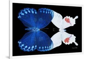 Miss Butterfly Duo Formohermos - X-Ray Black Edition-Philippe Hugonnard-Framed Photographic Print