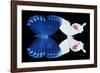 Miss Butterfly Duo Formohermos - X-Ray Black Edition-Philippe Hugonnard-Framed Photographic Print