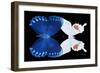 Miss Butterfly Duo Formohermos - X-Ray Black Edition-Philippe Hugonnard-Framed Photographic Print